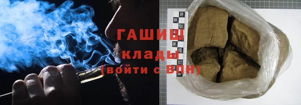 молекула духа Ладушкин