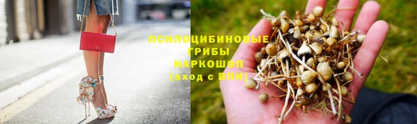 гидропоника Лиски