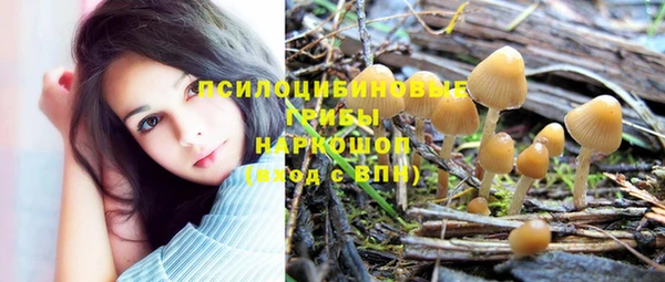 СК Абдулино