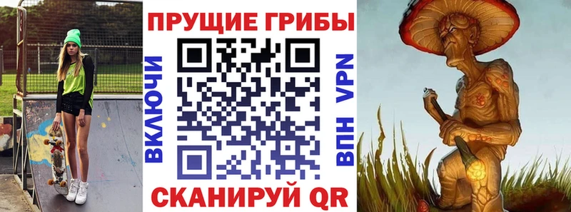Галлюциногенные грибы Psilocybe Чулым